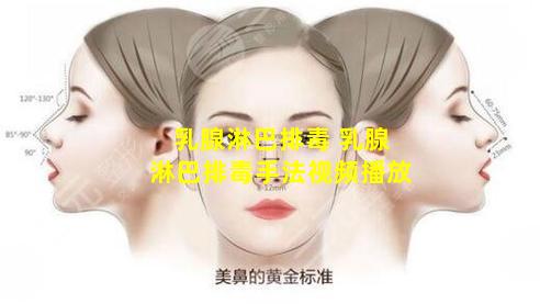 乳腺淋巴排毒 乳腺淋巴排毒手法视频播放